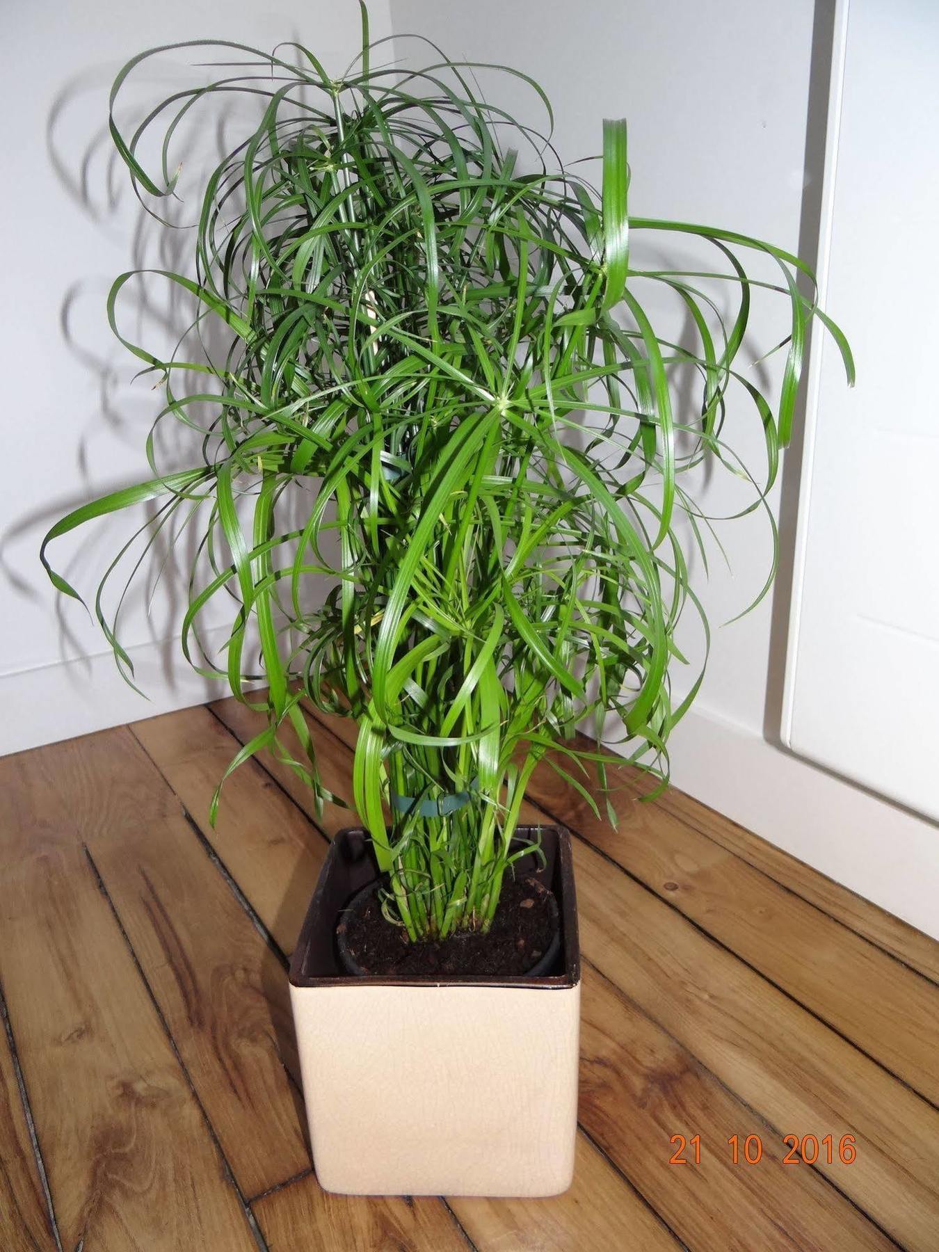 Garden Apparts Rennes Centre Gare 외부 사진